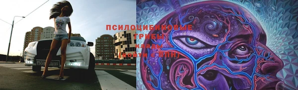 гашик Ладушкин
