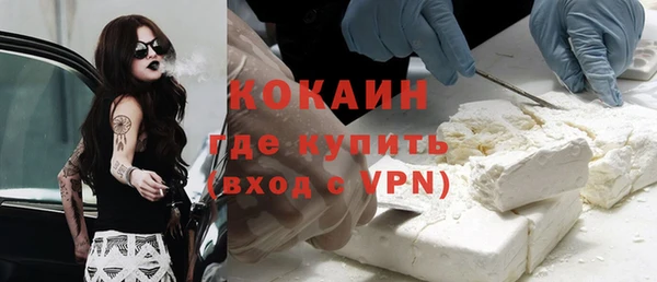 гашик Алексин