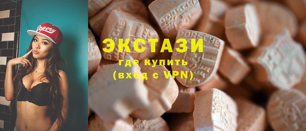 гашик Алексин