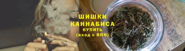2c-b Алзамай