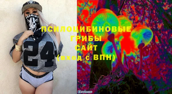гашик Ладушкин