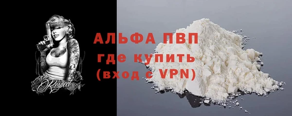 гашик Алексин