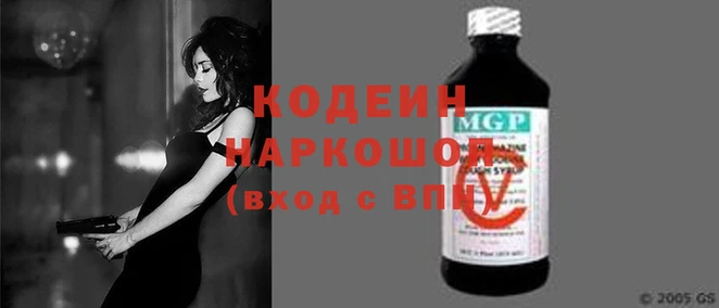 гашик Алексин