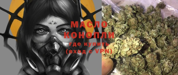 гашик Алексин