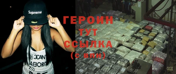 гашик Алексин