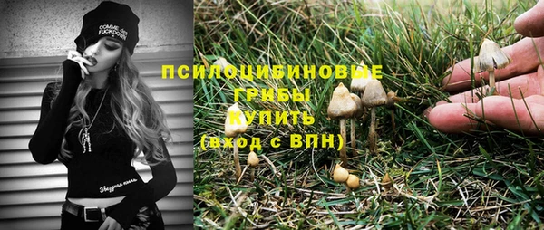 гашик Алексин